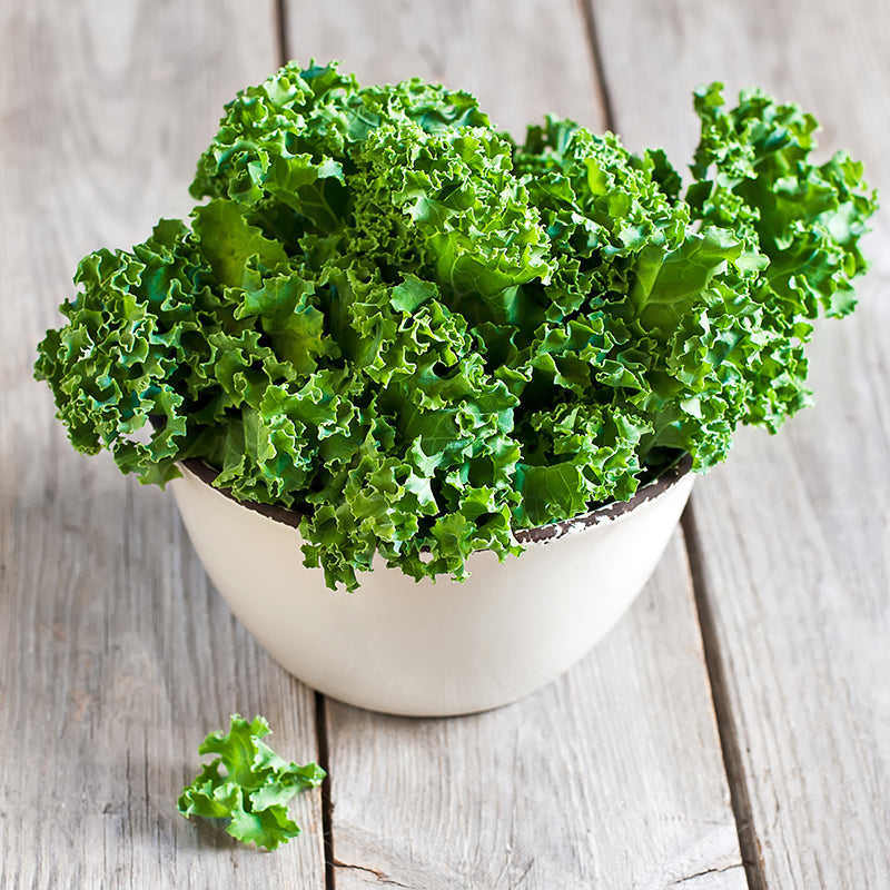 The Benefits of Kale–Part of Our Whole Body and Oral Health Superfoods Series