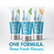 Find Your Flavor - All 3 ProMineralizer Toothpastes